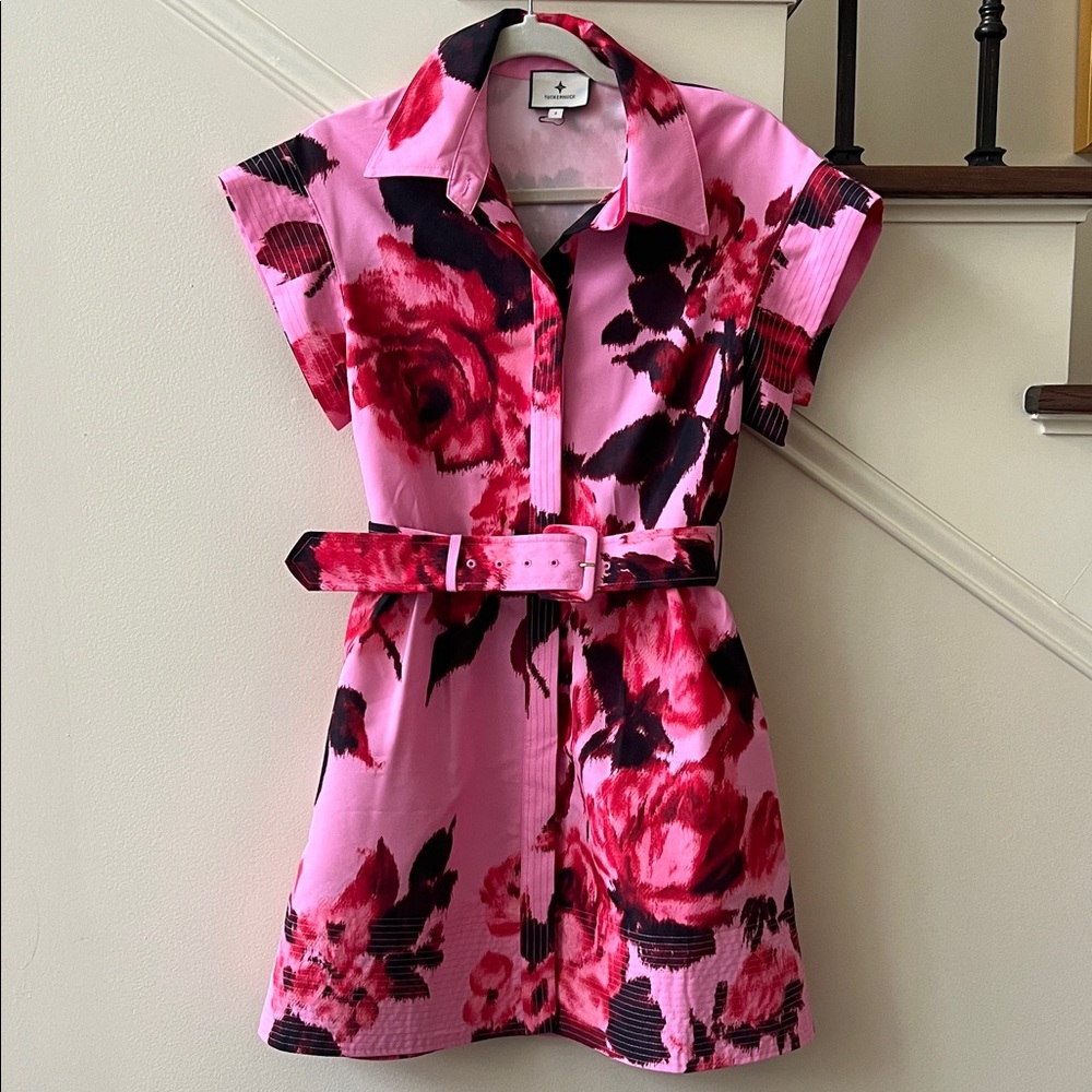 TUCKERNUCK Cerise Blossom Mini Chloe Dress Small
